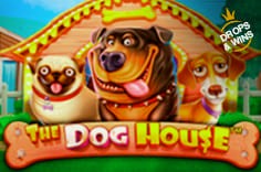 Слот The Dog House